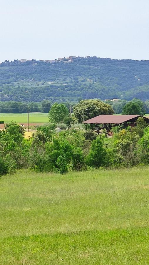 Joli Appartement Dans Village Calme En Provence Les Mées 外观 照片