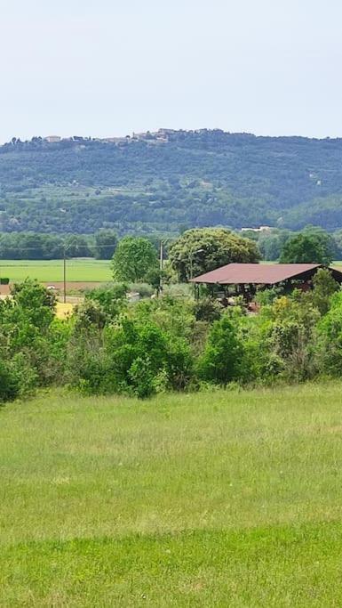 Joli Appartement Dans Village Calme En Provence Les Mées 外观 照片